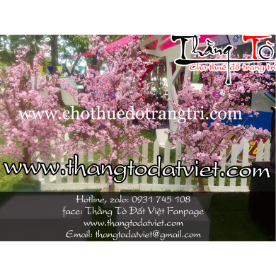 cho thuê cảnh Nhật bản 3